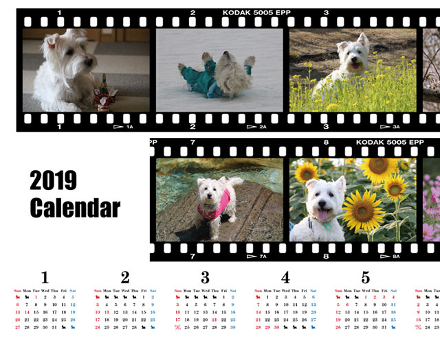 お風呂カレンダー 2019