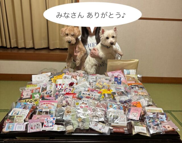 WP！2025 に参加しました♪