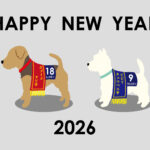 今年もよろしくお願いします